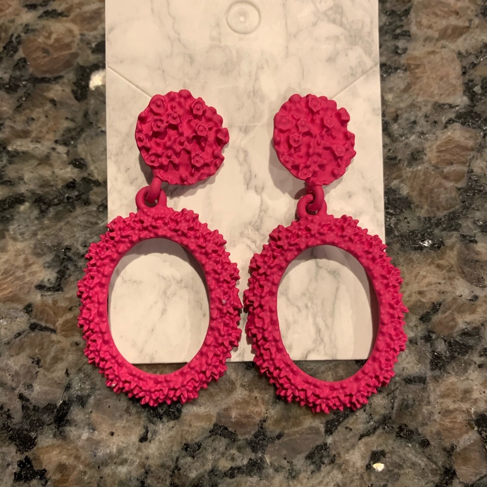 Oval Eardrop Earrings